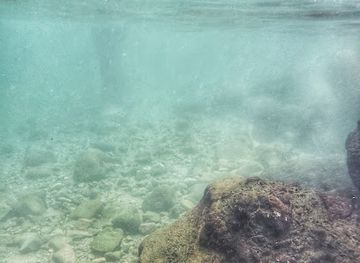 dominica/champagne-reef/landmark/emerald-pool