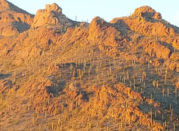 arizona/tucson-mountain-park/landmark/arizona-sonora-desert-museum