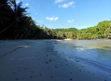 american-samoa/tafuna/landmark/fogamaa-crater-national-natural-landmark