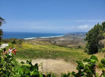 barbados/animal-flower-cave/landmark/cherry-tree-hill-reserve