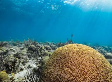 curacao/playa-cas-abou/landmark/double-reef