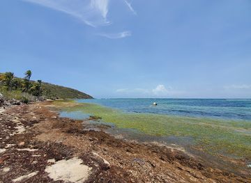 puerto-rico/puerto-rican-cordillera/landmark/playa-canalejo