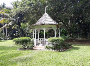 jamaica/ocho-rios/landmark/inn-at-shaw-park-gardens-waterfalls