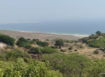 oman/mirbat/landmark/ain-hashir-wa-ashjar-al-tabladi