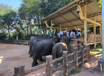 sri-lanka/pinnawala-elephant-orphanage/landmark/elephant-orphanage-entrance-gate-b
