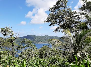 trinidad-and-tobago/main-ridge-forest-reserve/landmark/tobago-main-ridge-forest-reserve