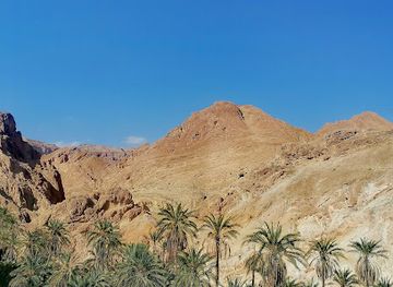 tunisia/tunisian-sahara/landmark/eden-palm