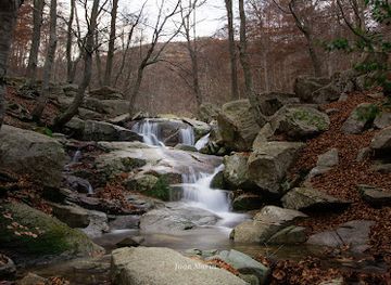 spain/montseny-natural-park/landmark/font-de-passavets-montseny