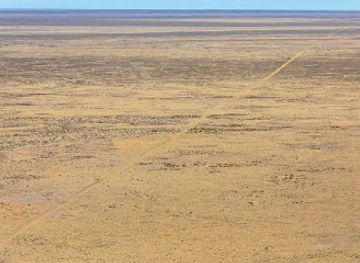 australia/far-west/landmark/narriearra-caryapundy-swamp-national-park