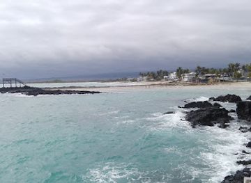 ecuador/pacific-coast/landmark/parque-nacional-galapagos