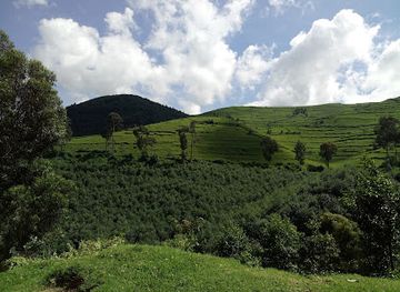 rwanda/kibungo/landmark/gishwati-mukura-national-park-and-biosphere-reserve