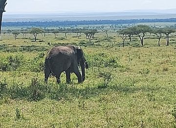 kenya/maasai-mara/landmark/oloololo-gate