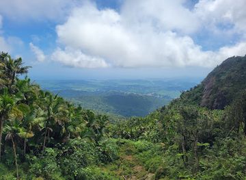 puerto-rico/yunque-national-forest/landmark/el-toro-peak