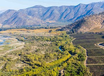 chile/aconcagua-valley/landmark/maipo-wine-tours