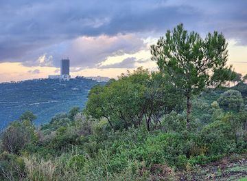 israel/haifa/carmel-center/landmark/mount-carmel-national-park