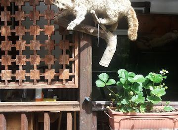 bulgaria/strandzha/landmark/complex-strandzha-park