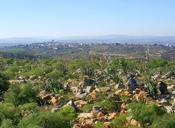 israel/beit-she-an/landmark/irusim