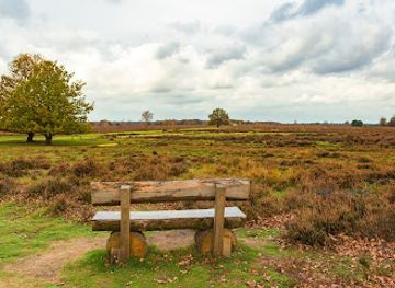 netherlands/veluwe/landmark/ermelo-sheepfold