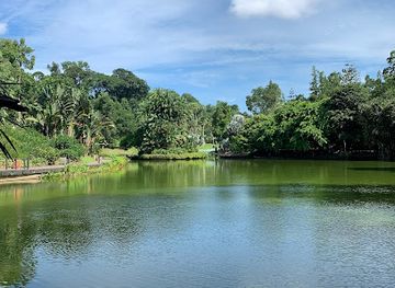 singapore/bukit-timah/landmark/singapore-botanic-gardens-eco-lake