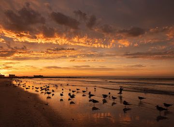 florida/sarasota/siesta-key/landmark/siesta-key-beach-sarasota