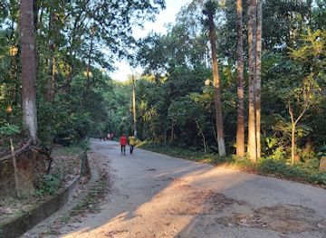 bangladesh/ratargul-swamp-forest/landmark/tilagor-reserve-forest