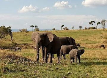 tanzania/tarangire-national-park/landmark/nyerere-national-park