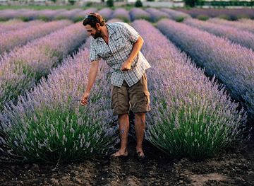 austria/neusiedler-see/landmark/steppenduft