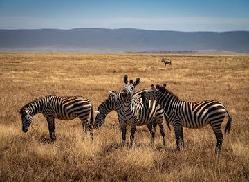 tanzania/ngorongoro-conservation-area/landmark/ngorongoro-crater
