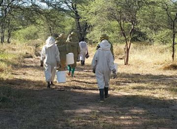 tanzania/ruaha-region/landmark/ruaha-bee-reserve-ruaha-honey-camping