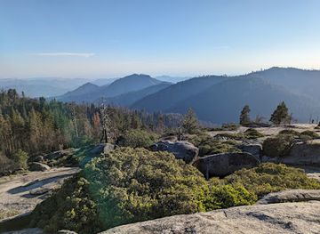 california/sequoia-national-park/landmark/giant-forest-museum