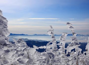 japan/zao-onsen/landmark/zao-no-juhyo-yamagata-ken