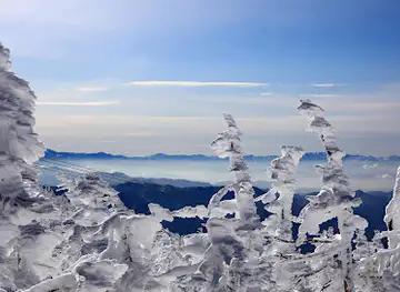 蔵王の樹氷（山形県）