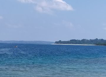 india/andaman-and-nicobar-islands/landmark/aves-island-andaman-and-nicobar-islands