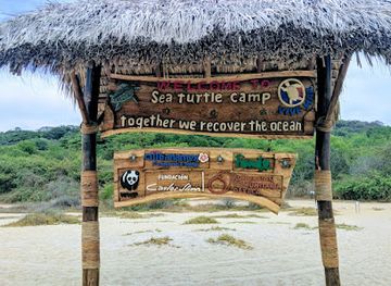 mexico/puerto-escondido/landmark/baby-turtle-release-centre