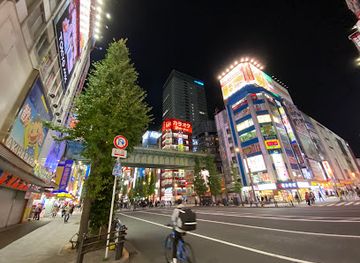 japan/tokyo/akihabara/landmark/gigo-akihabara-1