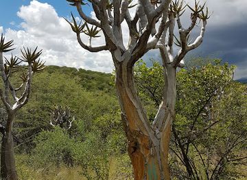 namibia/namib-desert/landmark/botanical-garden-walking-path