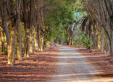 united-arab-emirates/dubai-desert-conservation-reserve/landmark/nad-al-sheba-mini-forest-trail