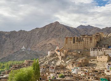 india/leh/landmark/leh-palace