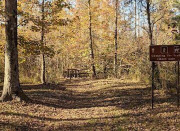 mississippi/tombigbee-national-forest/landmark/witch-dance