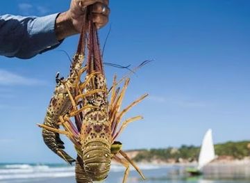 cabo-verde/santa-maria/landmark/vip-cape-verde