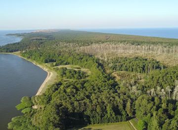 lithuania/curonian-spit-national-park/landmark/juodkrante-colony-of-grey-herons-and-great-cormorants