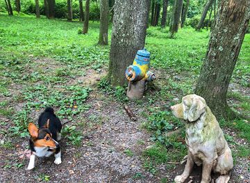 west-virginia/fairmont/landmark/fido-s-backyard