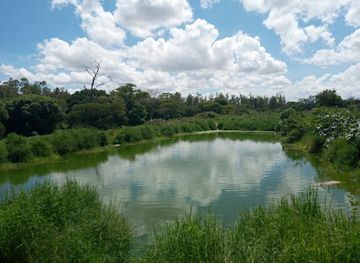 zambia/lusaka/landmark/kalimba-reptile-park