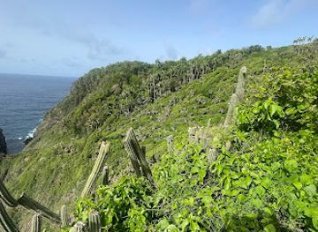 trinidad-and-tobago/tobago/landmark/wildlife-sanctuary