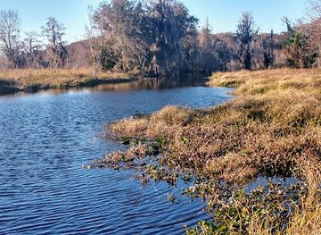 florida/suwannee-river/landmark/marjorie-kinnan-rawlings-historic-state-park