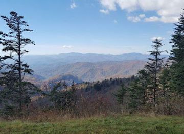 north-carolina/great-smoky-mountains/landmark/cranberry-ridge-overlook