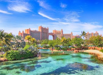 the-bahamas/nassau/paradise-island/landmark/predator-lagoon