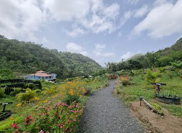 saint-lucia/canaries/landmark/project-chocolat