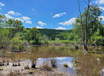 new-york/syracuse/landmark/webster-pond