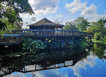 jamaica/black-river-great-morass/landmark/royal-palm-reserve